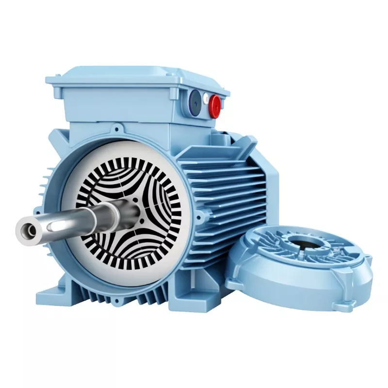 IP65 mittemagnetiline sünkroonmootor